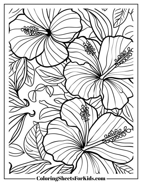 Finding the Best Sources for Free Coloring Pages For Free Downloads