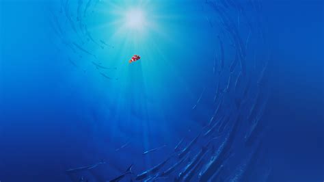 Finding