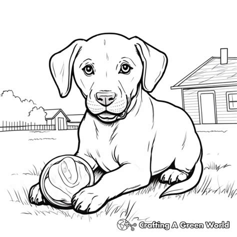 Finding the Perfect Chocolate Lab Coloring Page Printable