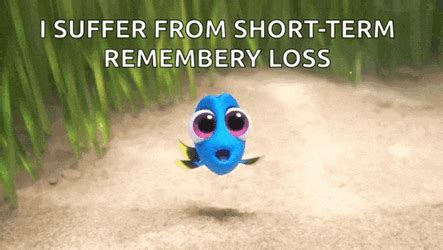 Finding the Perfect GIF