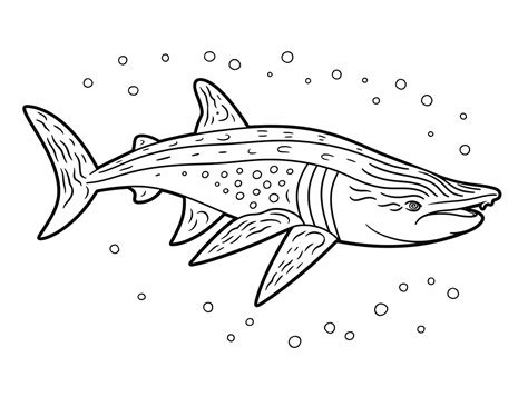 Finding the Perfect Printable Whale Shark Designs