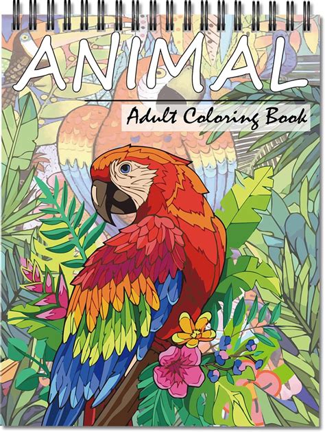 Finding the Perfect Simple Adult Colouring Books