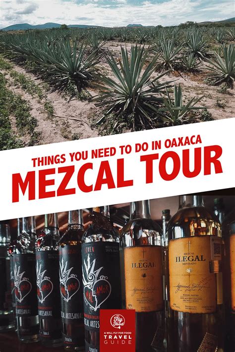 Finding the Right Mezcal Tour
