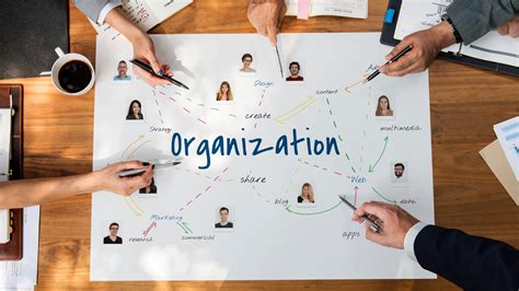 Finding the Right Organization
