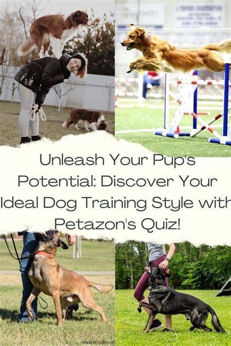 Finding the Right Training Style for Your Pup