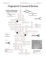 Fingerprint Patterns Crossword