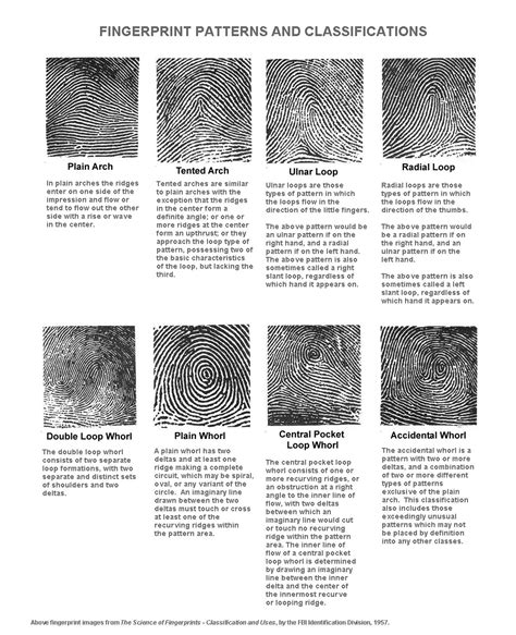 Fingerprint Types Patterns