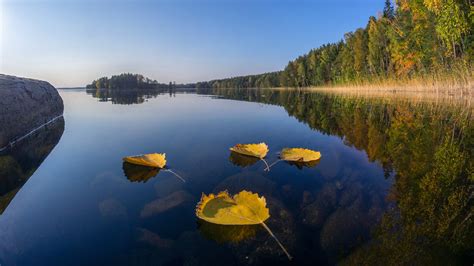 Finland Nature Reflection