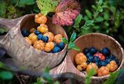 Finnish berries