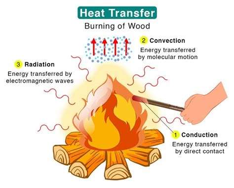 Fire The Source of Life and Warmth