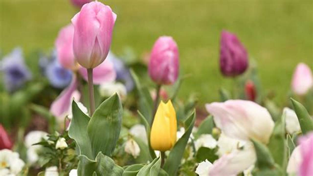 First Day Of Spring 2025 Dates Usa