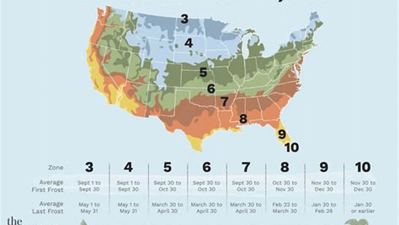 First Frost Date By Zip Code 2024