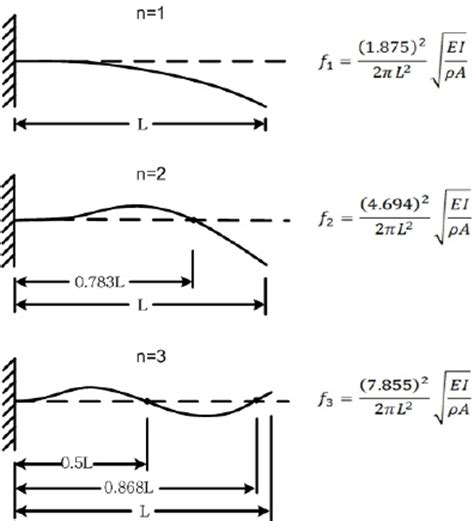 4 First three mode shapes and frequency parameters for a cantilever