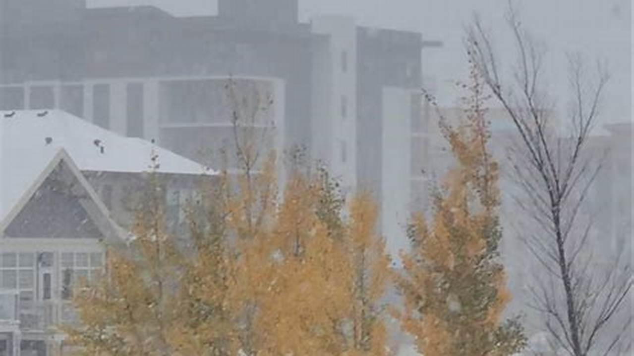 First Snowfall Calgary 2024