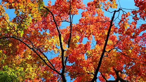 First Day Of Fall In Arizona 2024