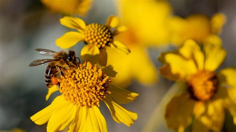 First Day Of Spring 2024 Images