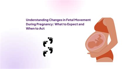 First Fetal Movements: What to Expect 