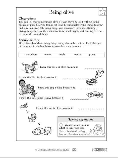 First Grade Science Printable Worksheets | WERT SHEET