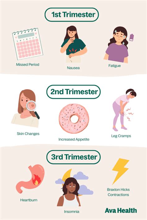 First Trimester: Understand Early Pregnancy Signs.