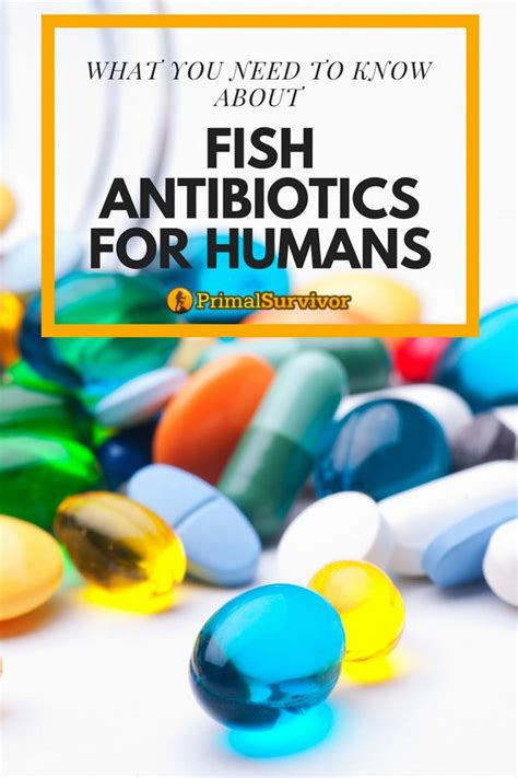 Fish Antibiotics vs. Human Antibiotics