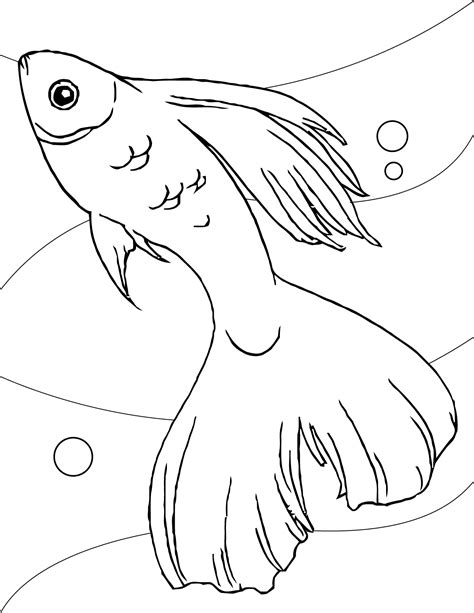 Fish Coloring Pages Printable Free