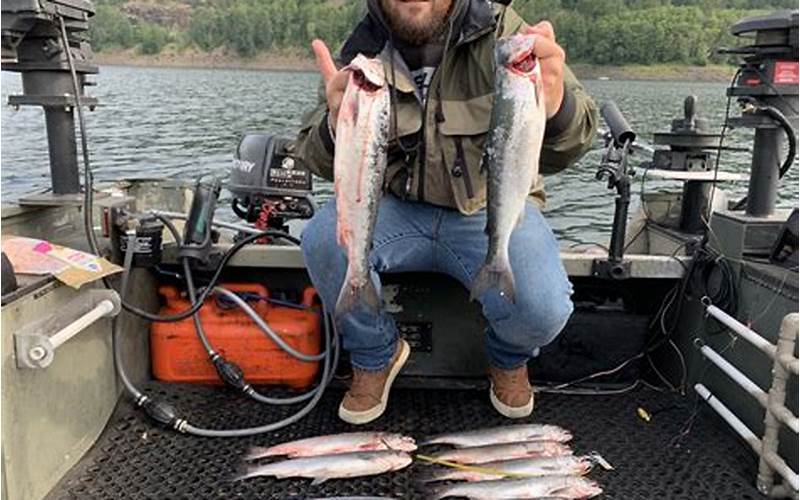 Fish In Lake Sammamish