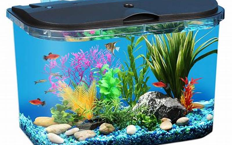 Fish Tank