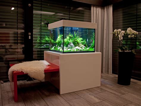 Fish tank in living room