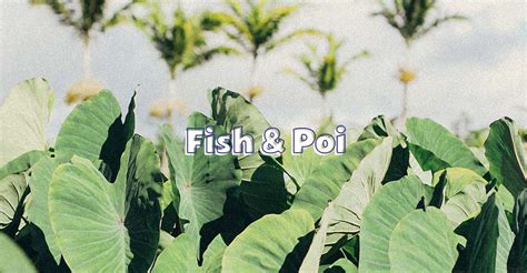 ショーン・ナアウアオ Sean Na'auao ★ナホク賞★Fish & Poi | kitchen-olu-olu