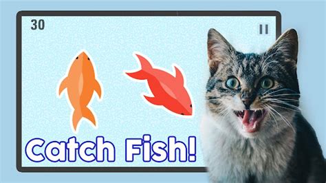 Fish App for Cats Multiplayer