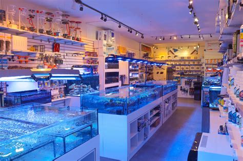 Fish Aquarium Store