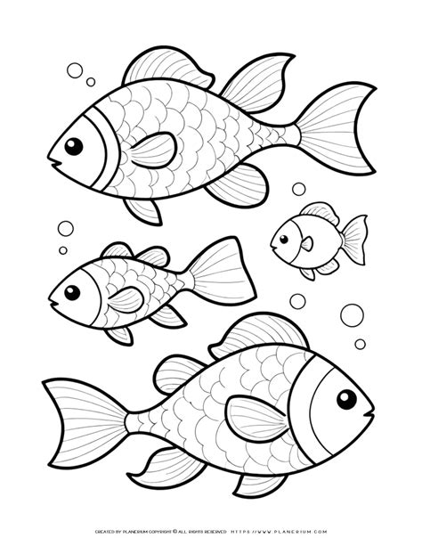 Fish Coloring Book Page