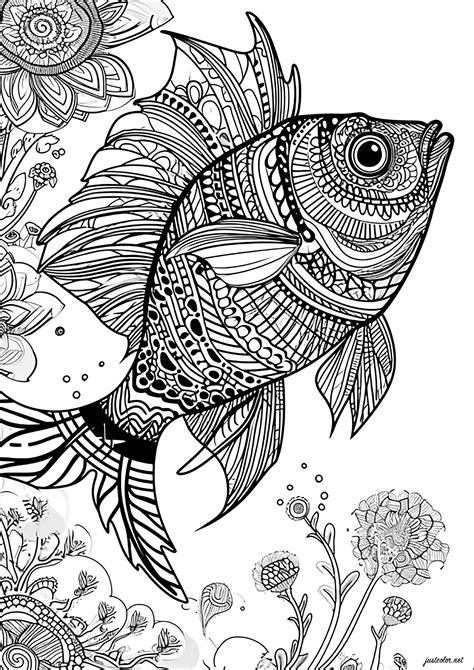 Fish Coloring Pages For Adults