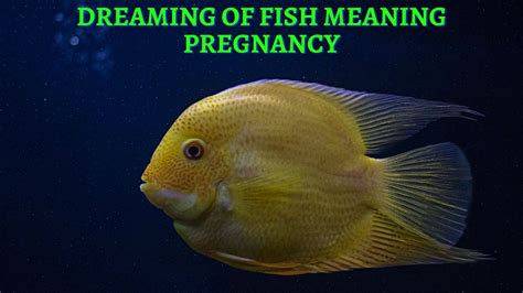 Fish Dreams Pregnancy