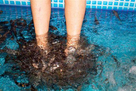 Discover Fish Pedicures: Get Smooth Feet Near You