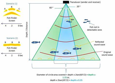 Fish Finder Diagram