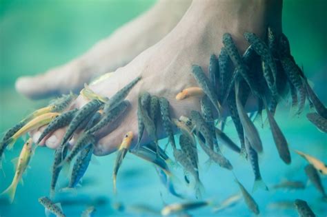 Fish Foot Massage