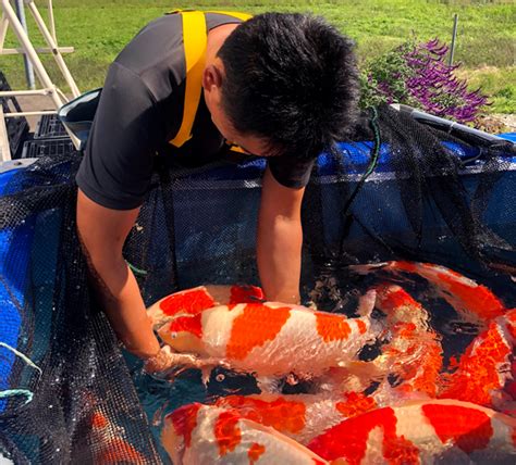 Fish For Jobs,6348