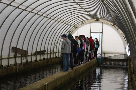 Fish Hatchery Tour