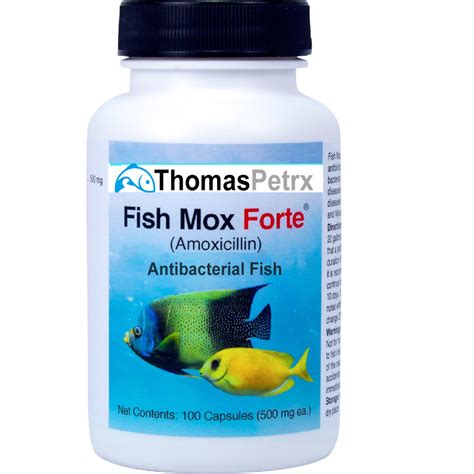 Fish Mox Incorrect Dosage