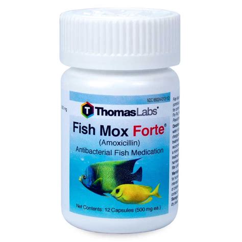 Fish Mox petco