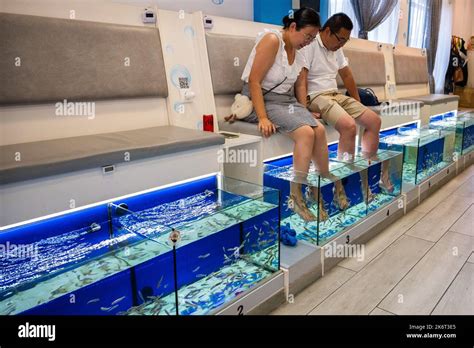 Fish Spa Treatment