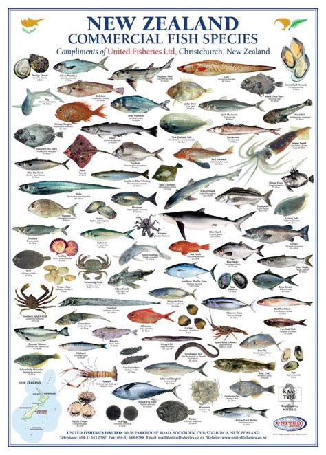 Fish Species Availability