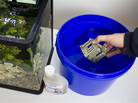Fish Tank Algae Cleaning