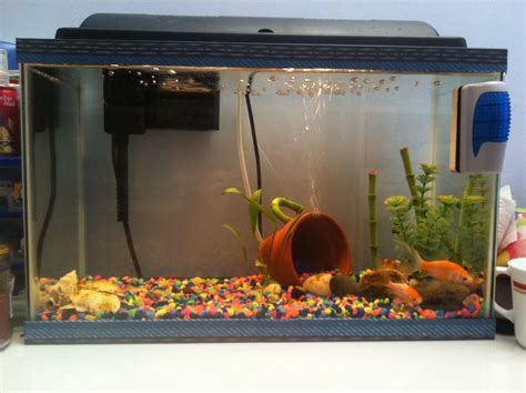 Fish Tank Decorations Cheap