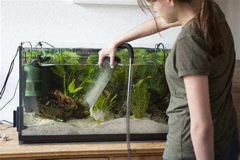 Fish Tank Water Change