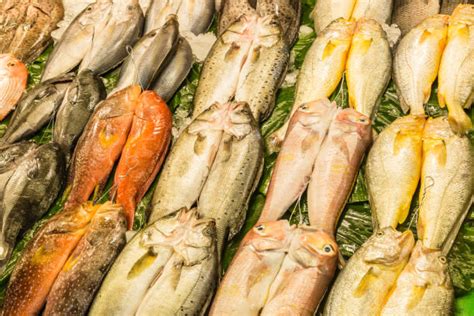 Shop the Best Dead Skin-Eating Fish for Smooth Skin!