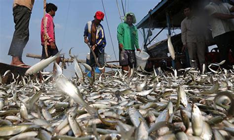 Fish conservation methods