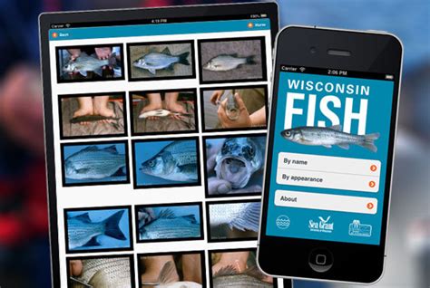 Fish Identification App with Image Recognition