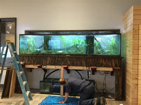 Fish Tank Installation